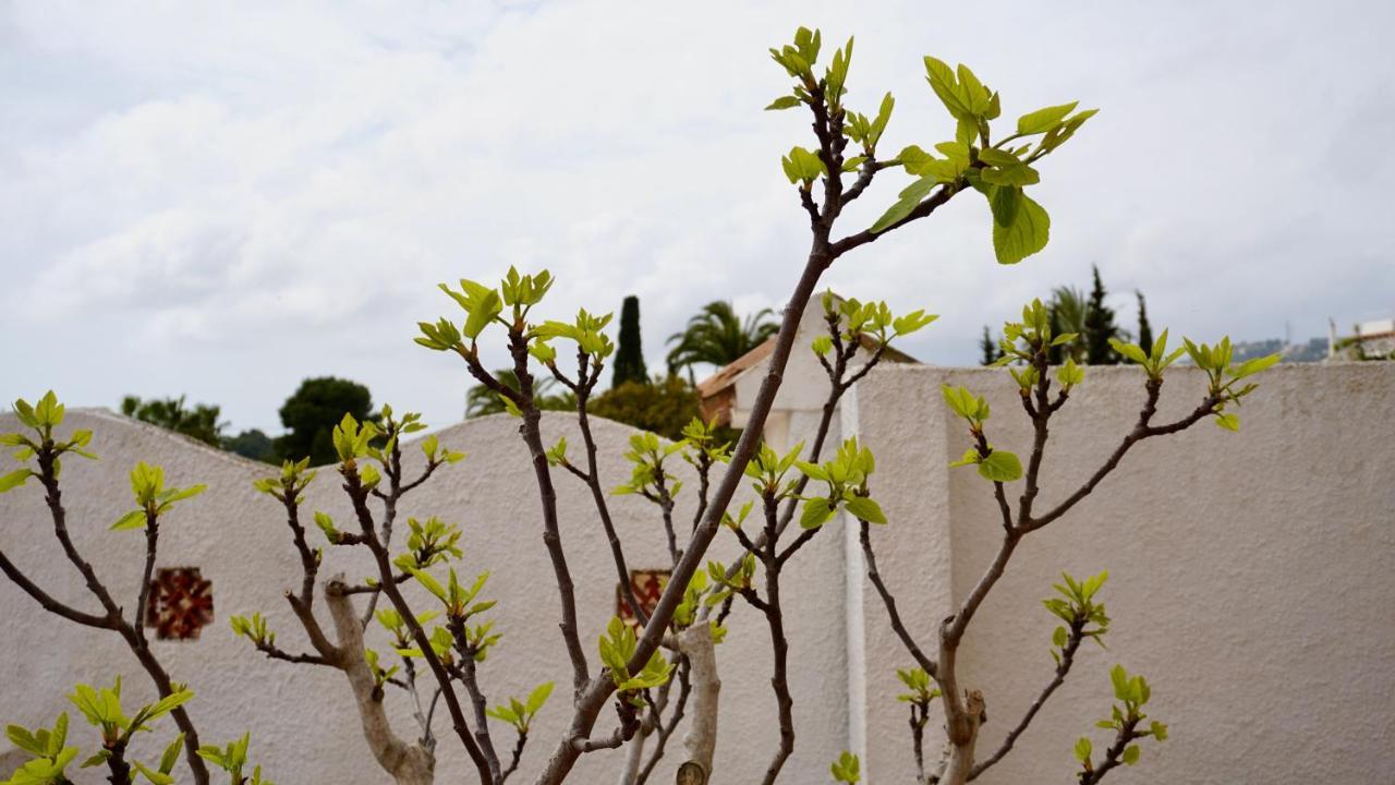 Villadoni: Comfortable, Hospitable, Relaxing Place Benissa Exterior foto